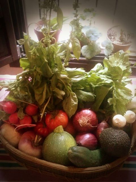 Calendario de frutas y verduras.  Julio